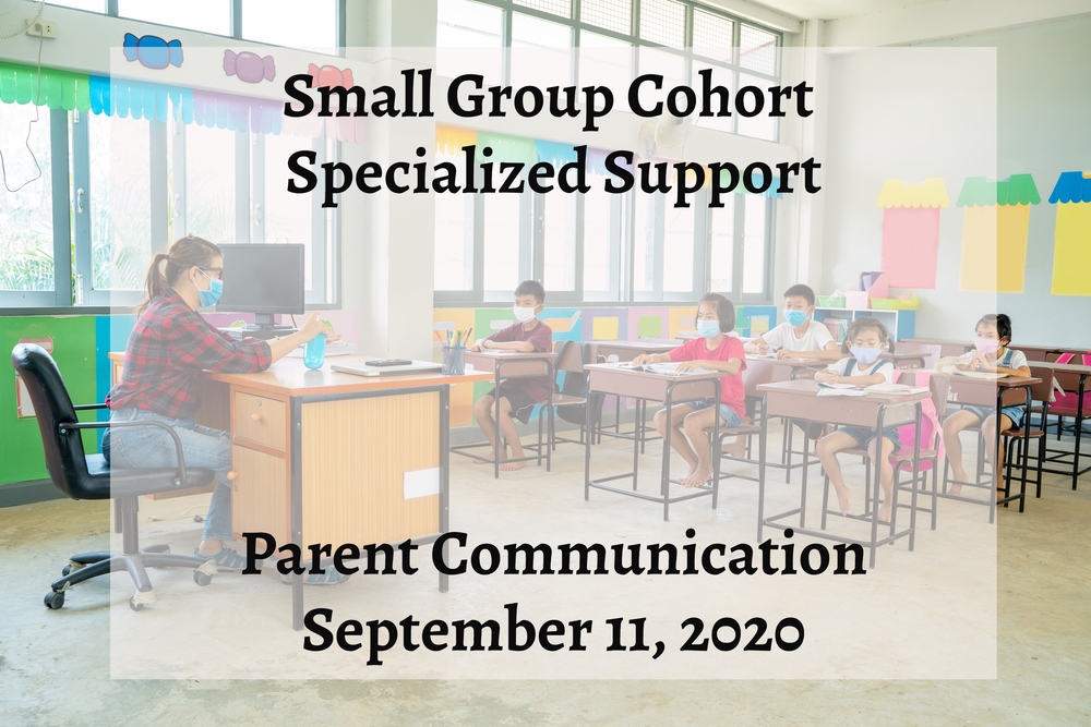 Small Group Cohort Specialized Support