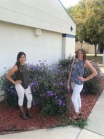 Meet our New Staff!