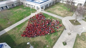 Greetings from Cinnamon Staff