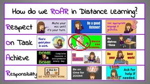 ROAR Expectations